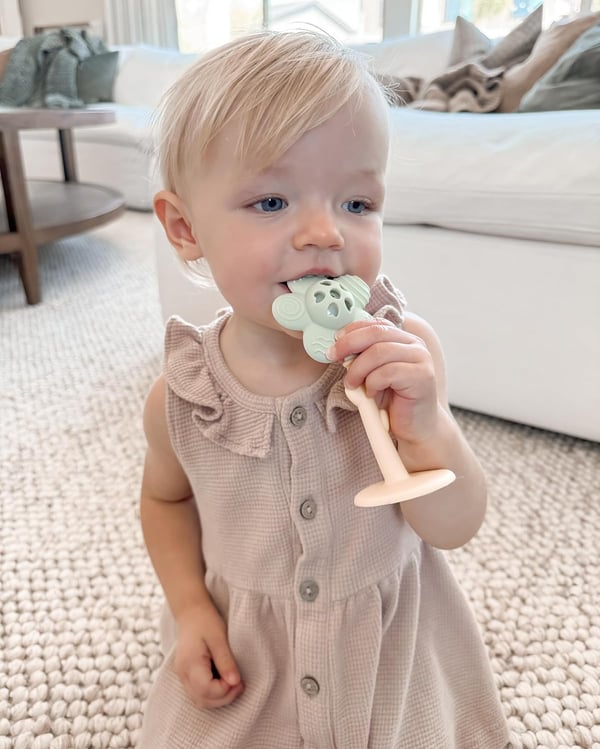 2-in-1 Sunnyflower Teether Rattle🌸